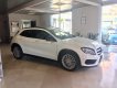 Mercedes-Benz GLA 220 d Automatic Premium