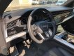 Audi Q8 50TDI MATRIX 3XS-LINE IN PELLE PANORAMICA 22 POLLC