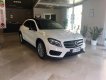 Mercedes-Benz GLA 220 d Automatic Premium